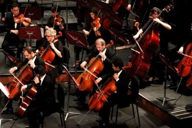 violines.jpg