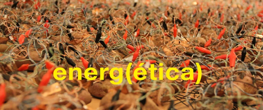 erngetica.png