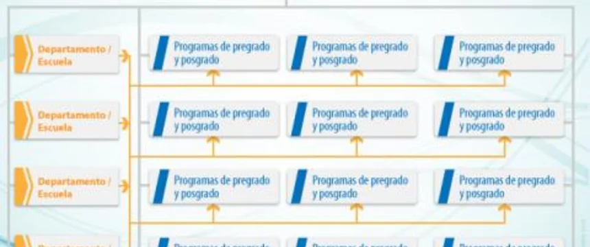 infografia_facultades.jpg