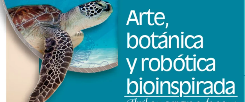 tortugaedit.jpg