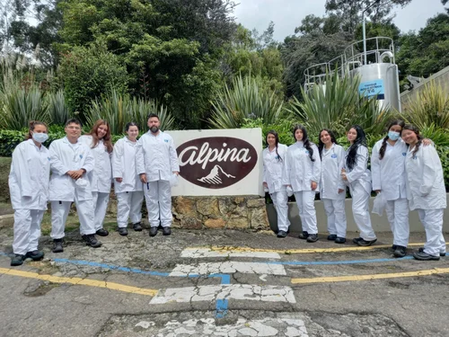 alpina.jpeg