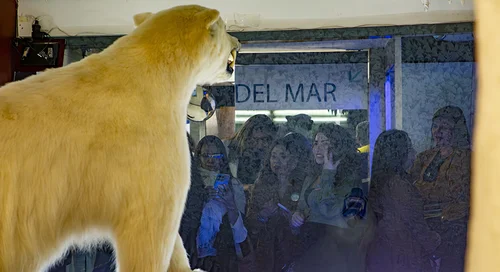 re-apertura_museodelmar1018cv37.jpg